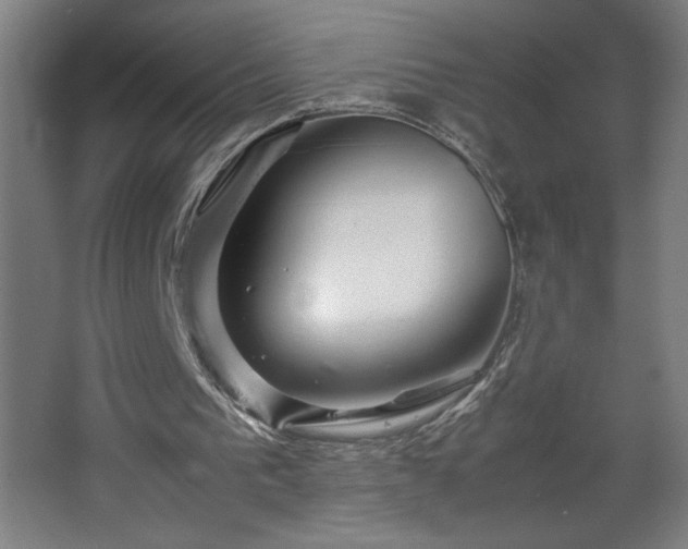 X0000067910193200604201413