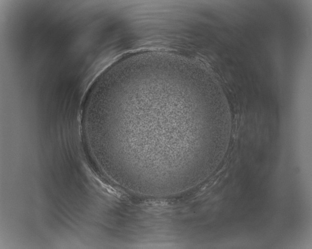 X0000067910194200604201413