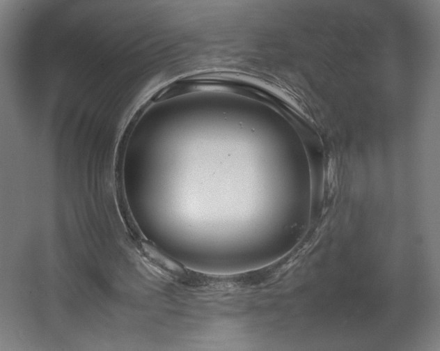 X0000067910195200604201413