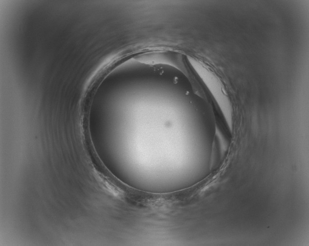 X0000067910197200604201413