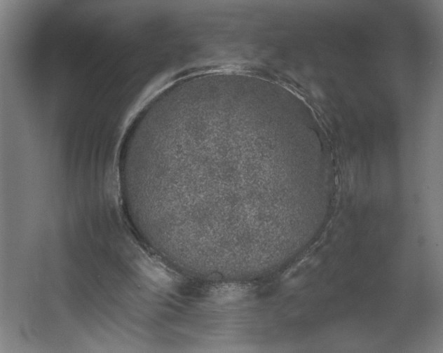 X0000067910198200604201413