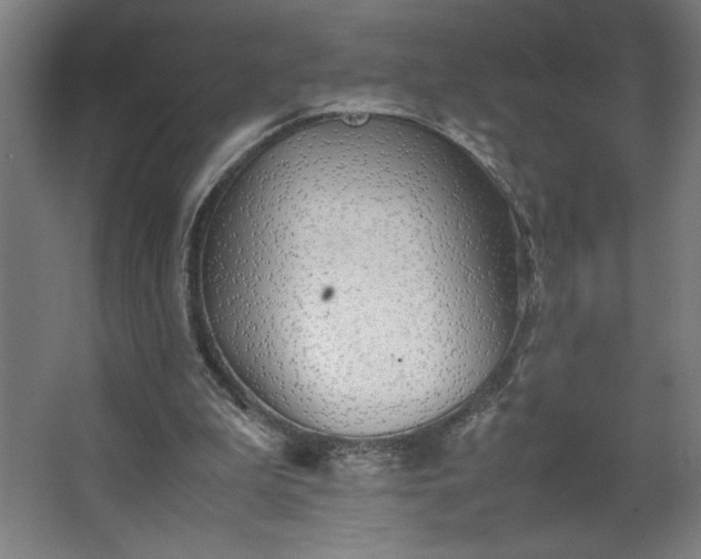 X0000067910199200604201413