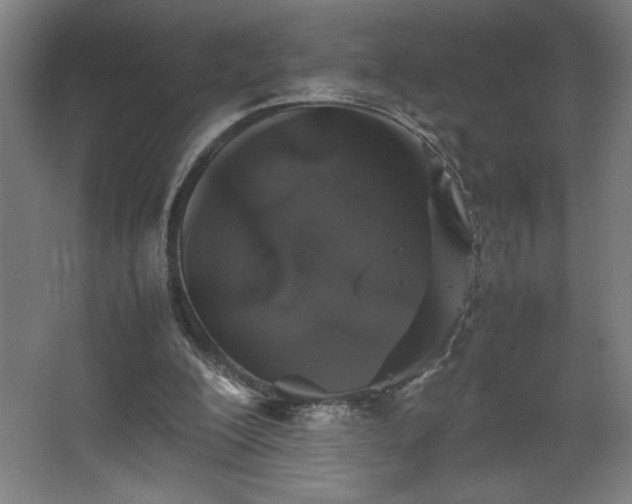 X0000067910200200604201413