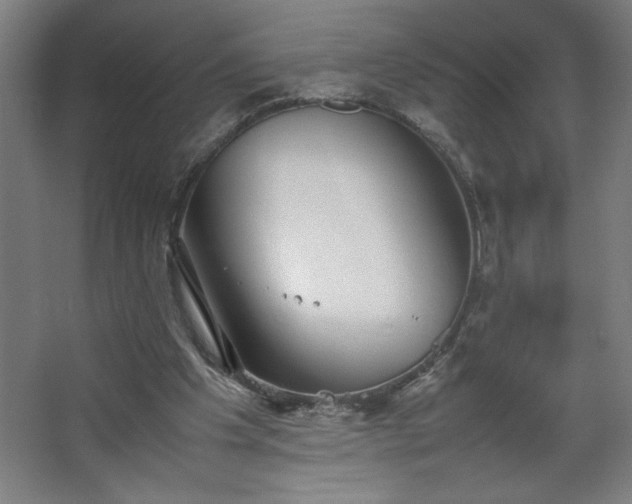 X0000067910201200604201413