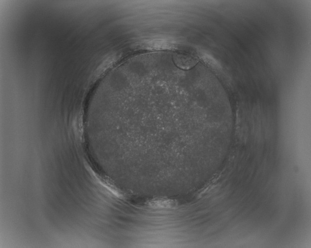 X0000067910202200604201413