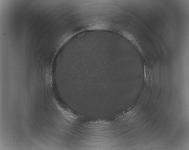 X0000067910204200604201413