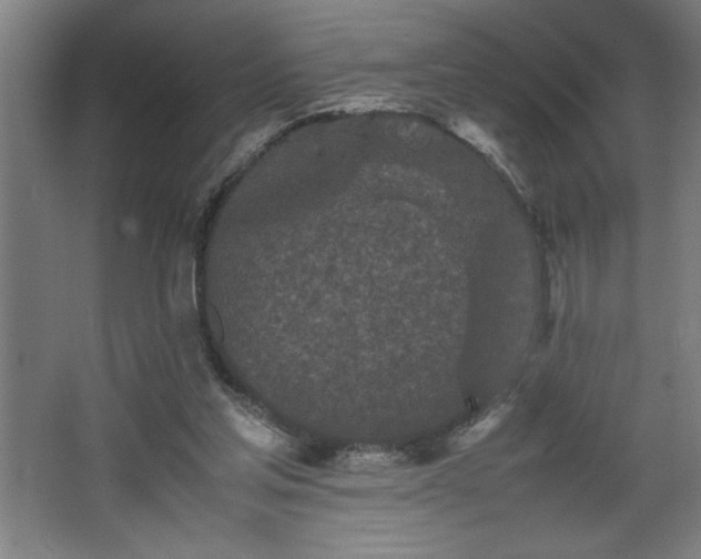 X0000067910205200604201413