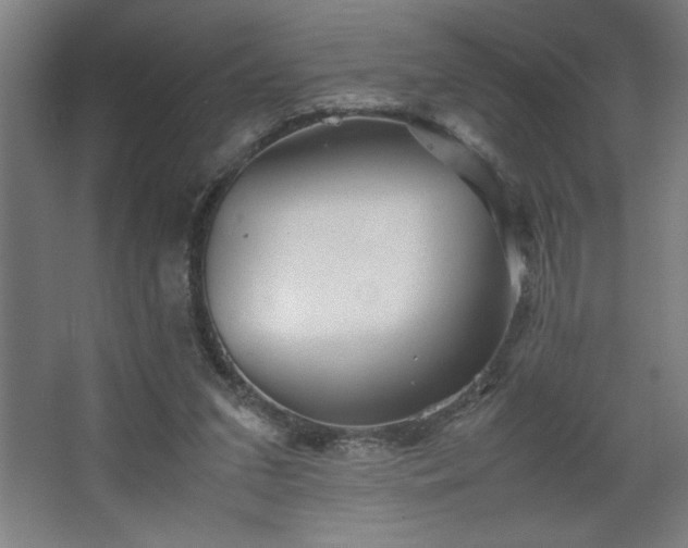 X0000067910207200604201413