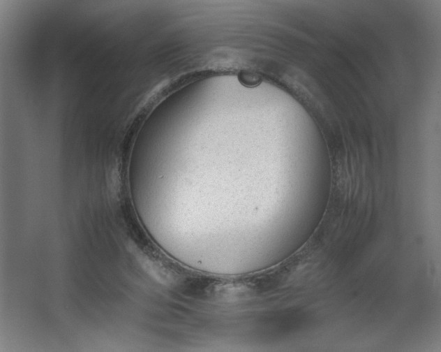 X0000067910208200604201413