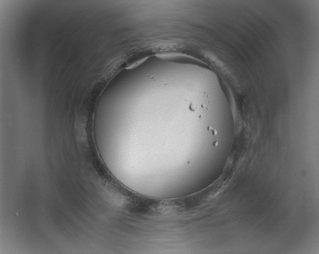 X0000067910209200604201413