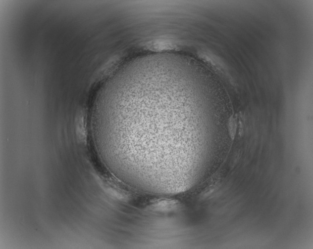 X0000067910210200604201413