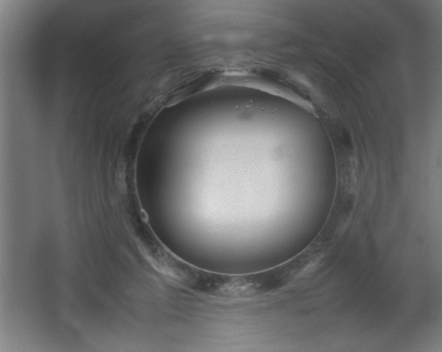 X0000067910213200604201413