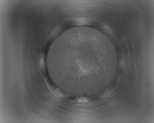 X0000067910214200604201413