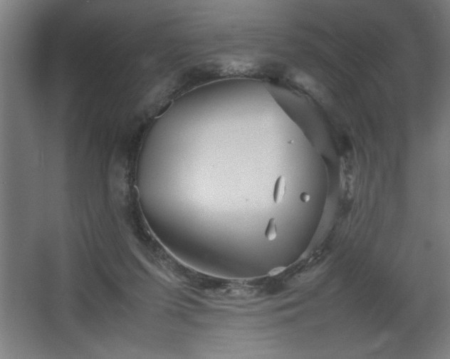 X0000067910215200604201413