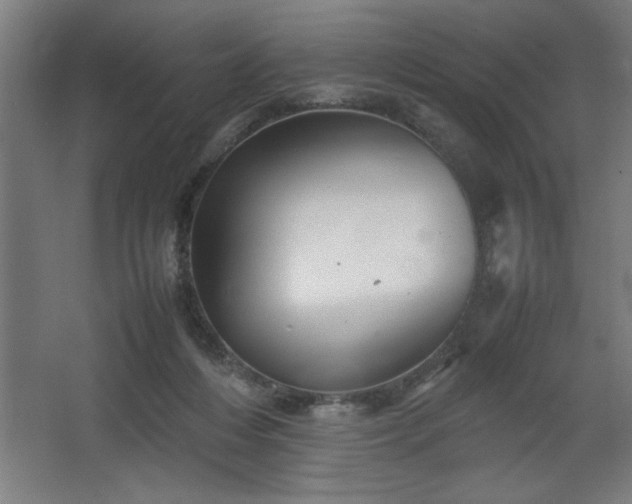 X0000067910216200604201413