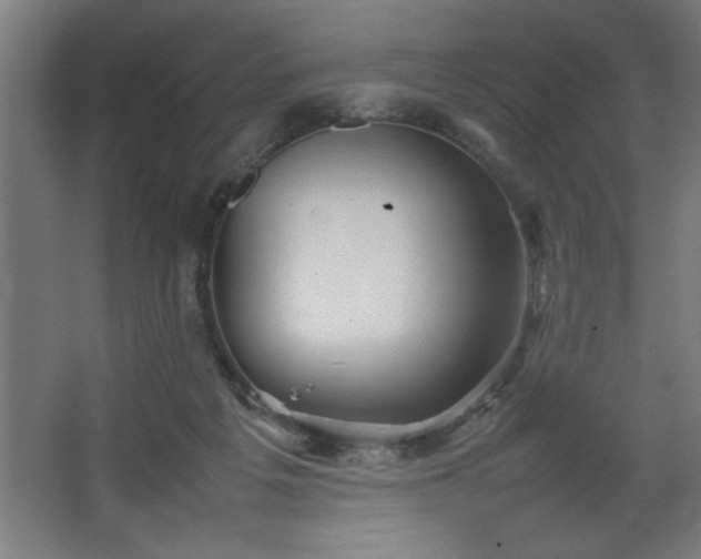 X0000067910217200604201413