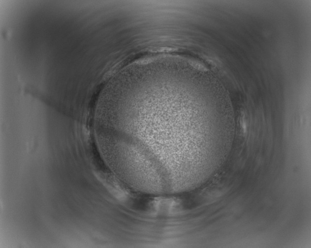 X0000067910218200604201413