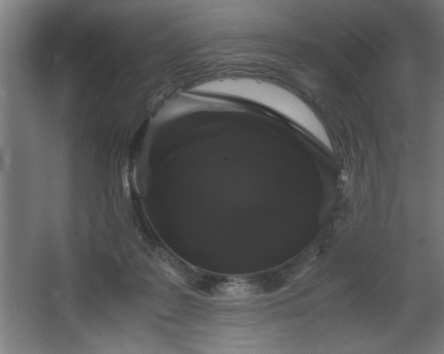 X0000067910219200604201413