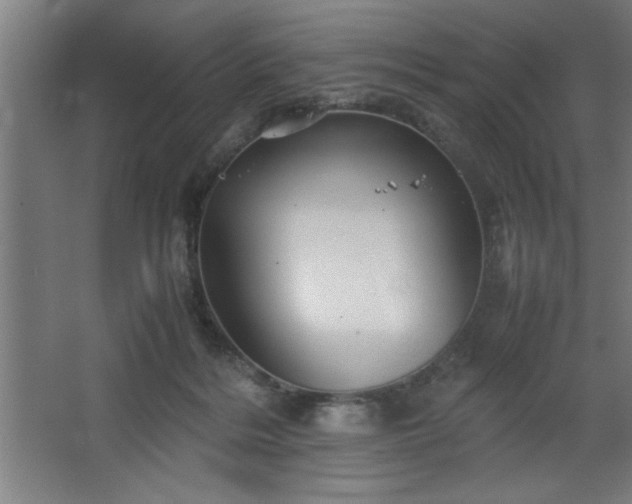 X0000067910220200604201413