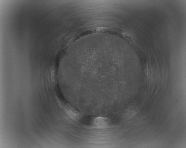 X0000067910222200604201413