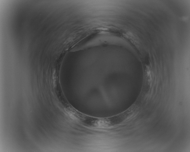 X0000067910223200604201413