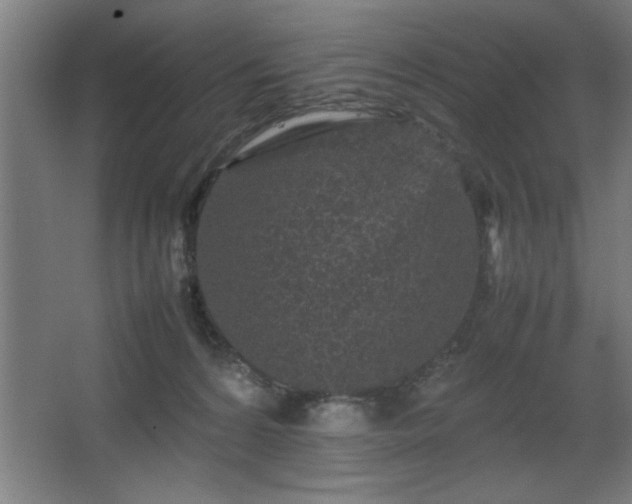 X0000067910224200604201413