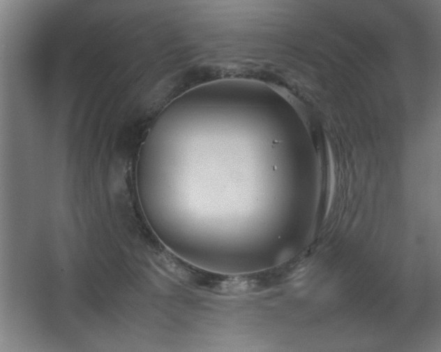 X0000067910225200604201413