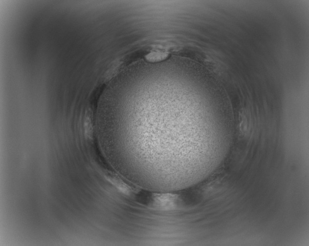 X0000067910226200604201413