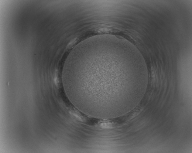 X0000067910228200604201413