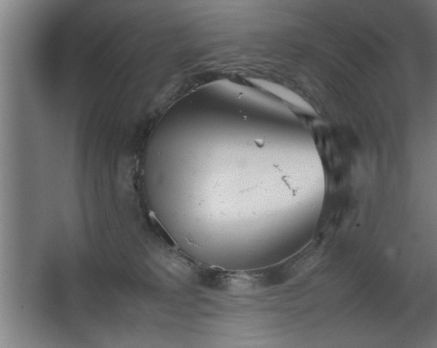 X0000067910229200604201413