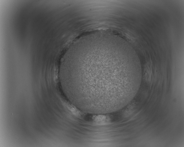 X0000067910230200604201413