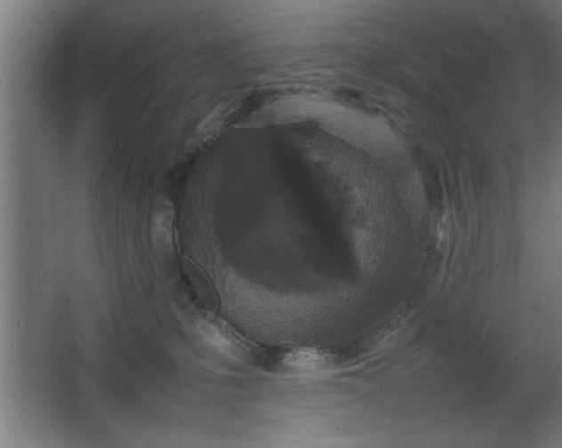 X0000067910231200604201413