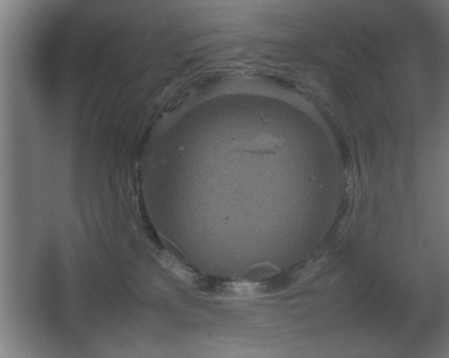 X0000067910233200604201412