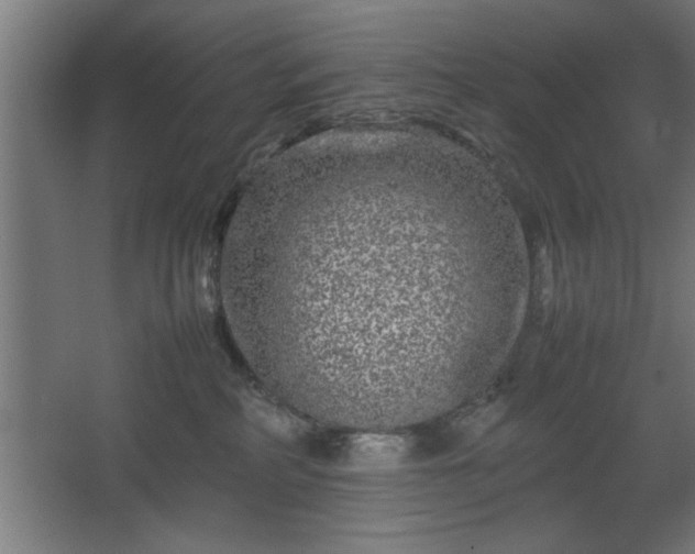 X0000067910234200604201412