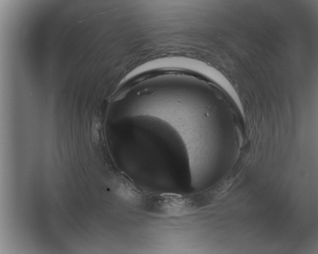 X0000067910235200604201412