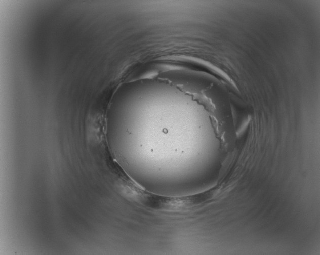 X0000067910237200604201412