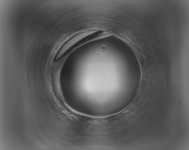 X0000067910241200604201412