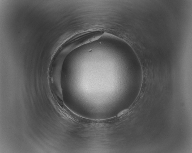 X0000067910242200604201412