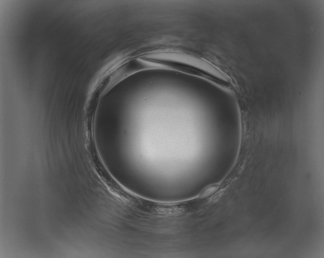 X0000067910245200604201412