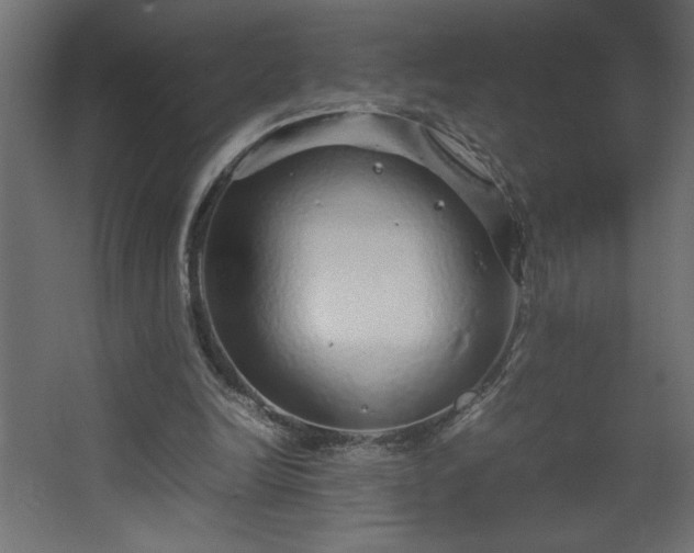 X0000067910246200604201412