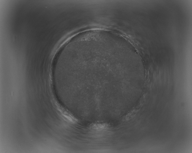 X0000067910247200604201412