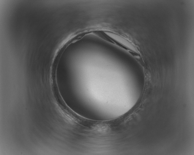 X0000067910248200604201412