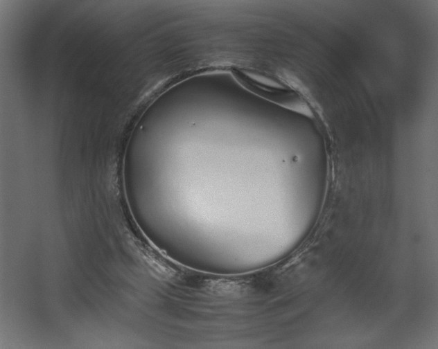 X0000067910249200604201412