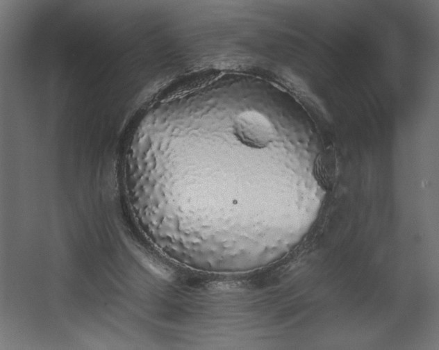 X0000067910250200604201412