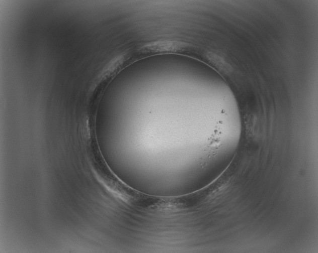 X0000067910254200604201412