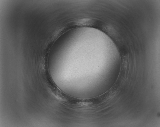 X0000067910255200604201412