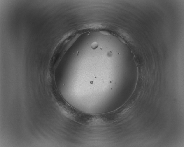 X0000067910256200604201412