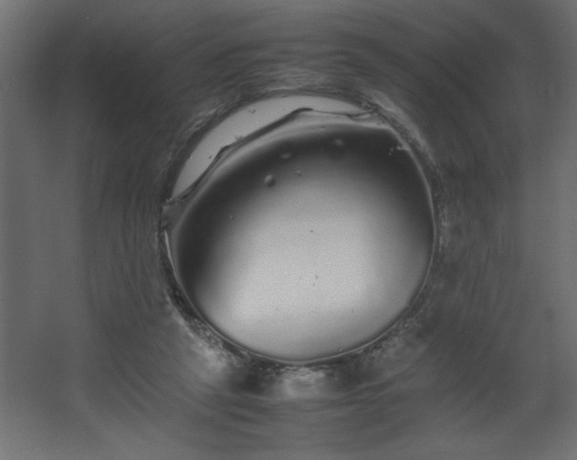 X0000067910257200604201412