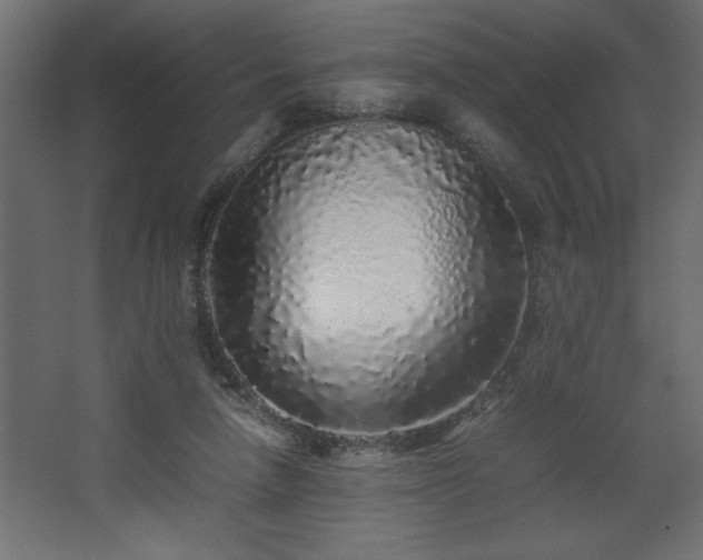 X0000067910258200604201412