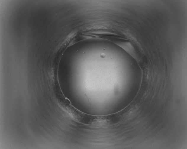 X0000067910260200604201412